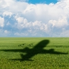 Ombre d'un avion sur un champ agricole