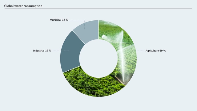 Global water consumption by sectors