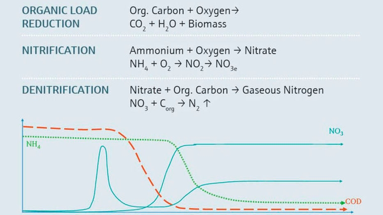 organic load reduction