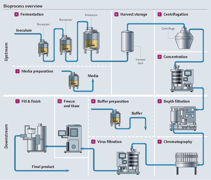Bioprocess in the pharmaceutical industry