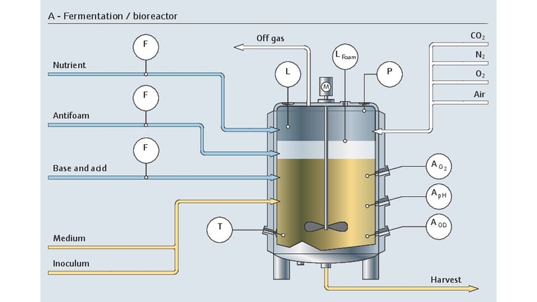 The upstream fermentation process in a bioreactor with all its relevant measurement points