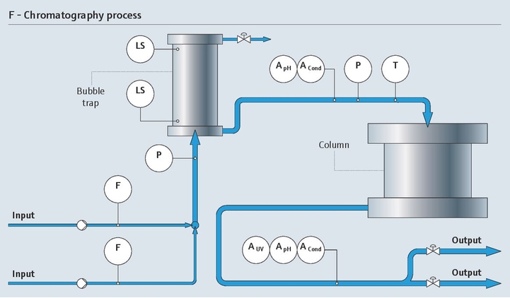 chromatography process