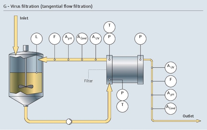 virus filtration process