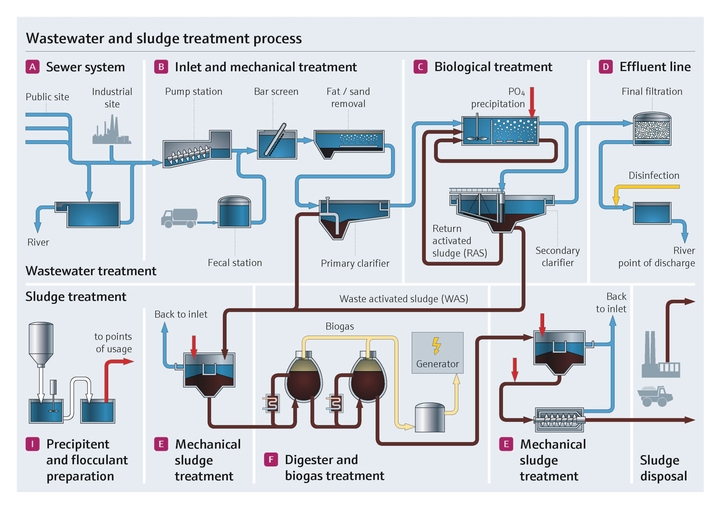 Sludge treatment in the wastewater industry