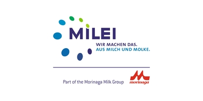 Logo de l'entreprise : MILEI