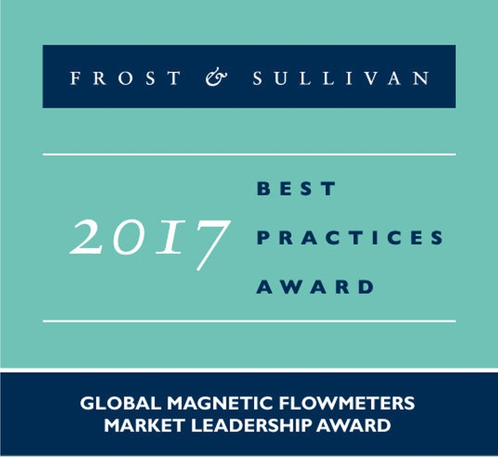 Endress+Hauser was recognized with the Global Market Leadership Award for electromagnetic flowmeters