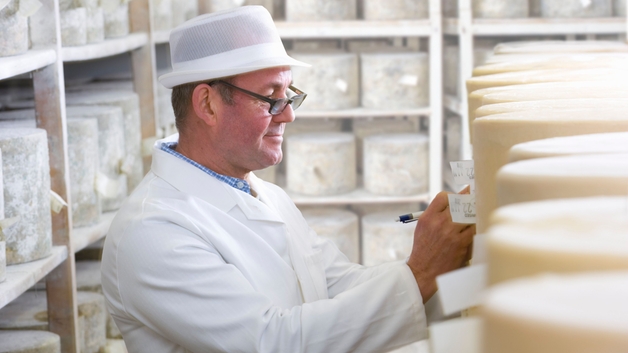 Un ouvrier de laiterie inspecte des fromages