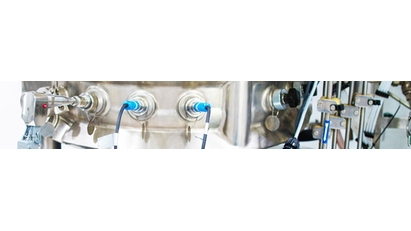 Sonde Raman in situ dans un bioréacteur en acier inoxydable