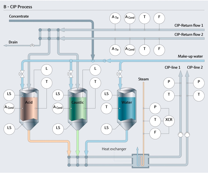Process de NEP