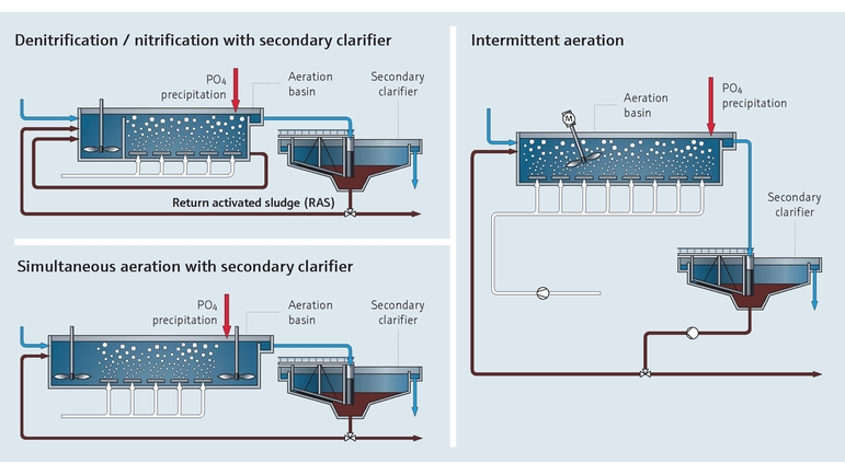 Schéma de process de l'élimination du phosphore dans les stations d'épuration