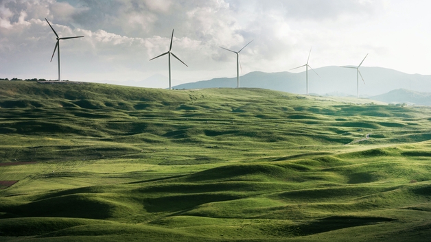 Éoliennes dans des champs verdoyants