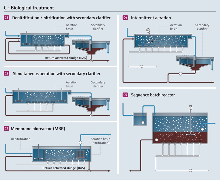 Biological wastewater treatment