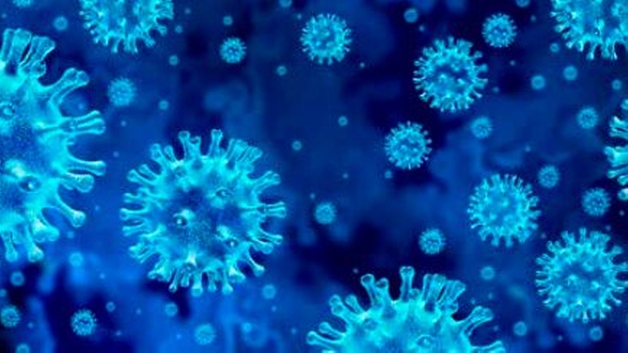 Detection of SARS Cov-2 virus in wastewater to make reliable predictions