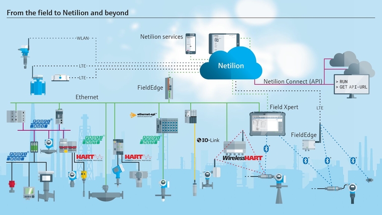 Du terrain à Netilion et au-delà