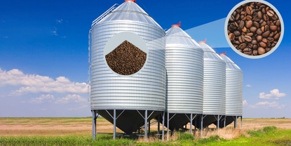 Détermination du profil de température dans les silos de grains de café